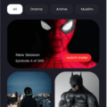 Netflix like OTT Video Streaming App Script